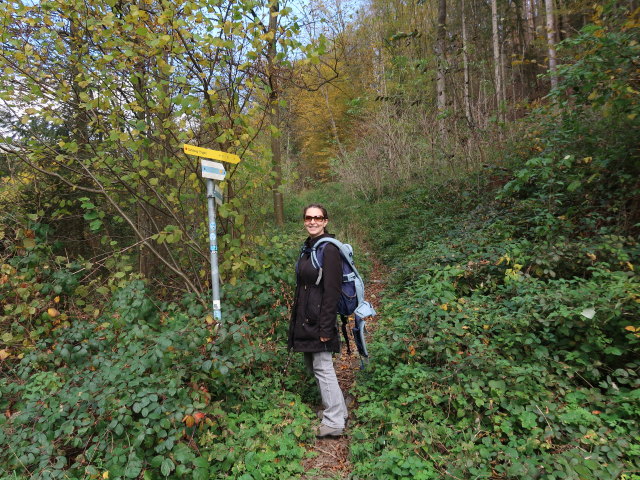 Sabine zwischen Schl&ouml;glm&uuml;hl und Auf der Wiese