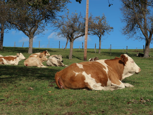 zwischen Schl&ouml;glm&uuml;hl und Auf der Wiese