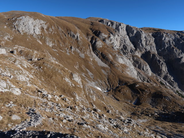 zwischen G'hackte und G'hacktbrunn (17. Nov.)