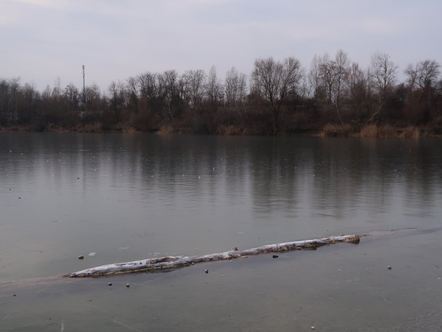 Badeteich Süßenbrunn