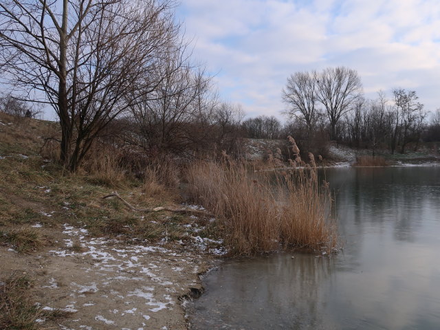 Badeteich Süßenbrunn