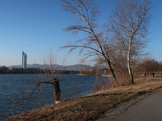 Neue Donau