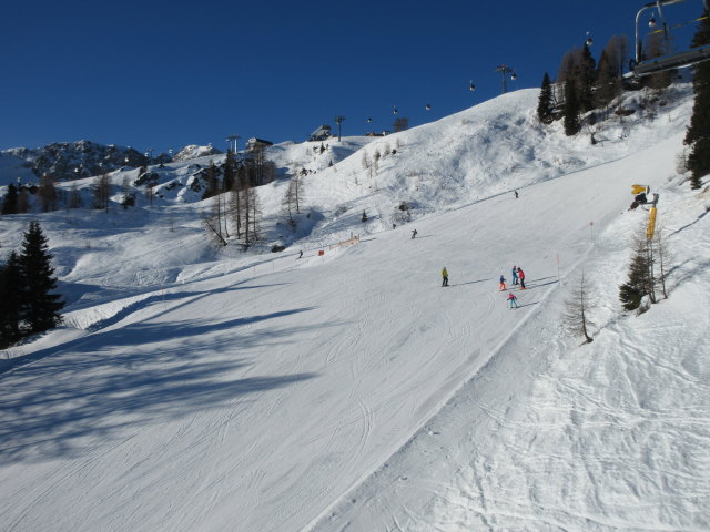 Tröglabfahrt von der Tröglbahn aus