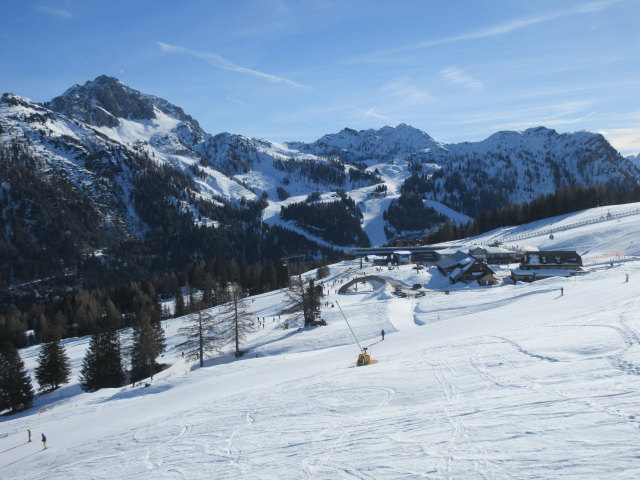 Tressdorfer Alm, 1.590 m