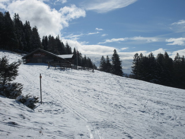 Patscher Alm, 1.694 m