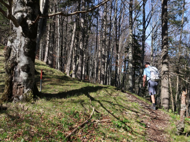 Erich zwischen Gaflenz und Sonnbergspitzl