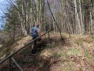 Erich zwischen Gaflenz und Sonnbergspitzl