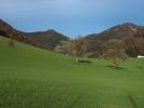 zwischen Weißem Kreuz und Oberland