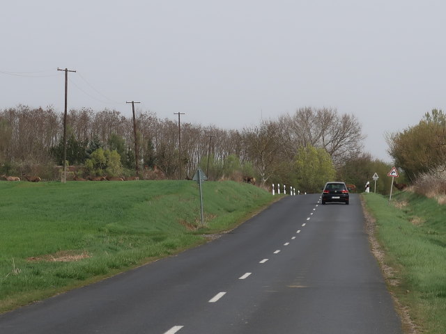 zwischen Oberschilding und Groß Nahring