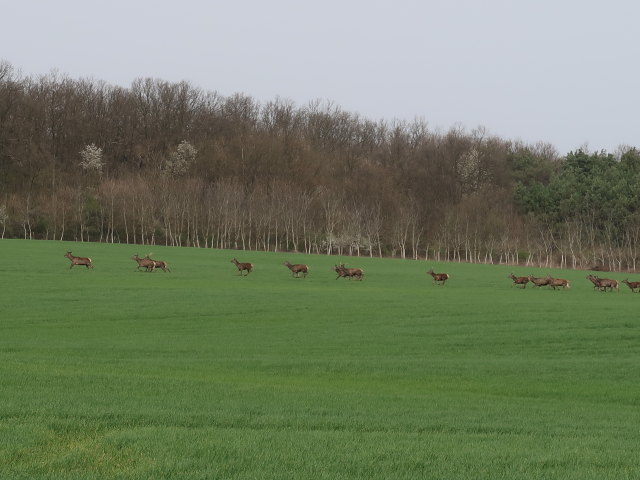 zwischen Oberschilding und Groß Nahring