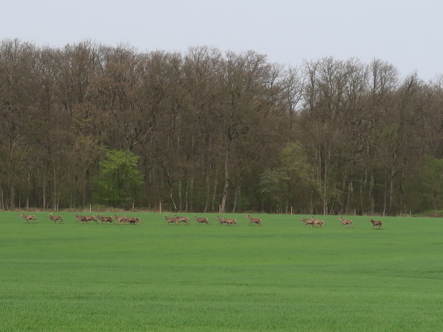 zwischen Oberschilding und Groß Nahring