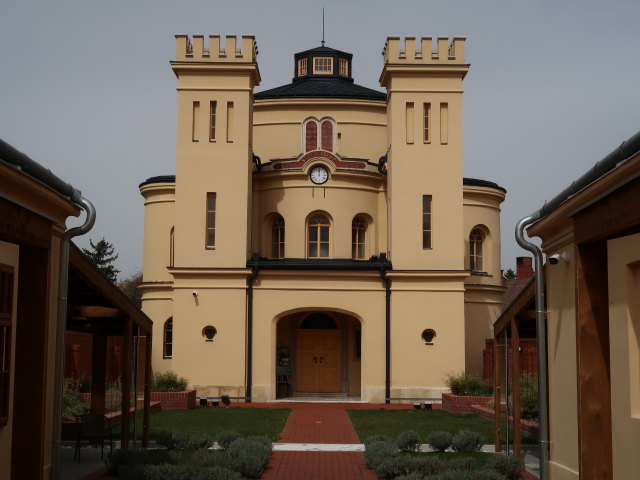 Synagoge in Güns