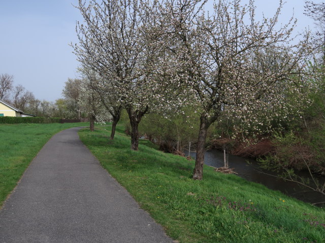 Rabnitz in Lutzmannsburg