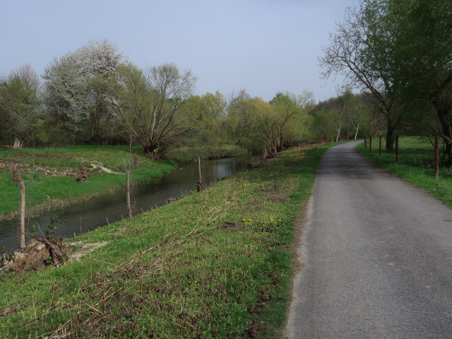 Rabnitz in Lutzmannsburg