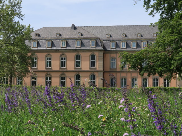 Neues Schloss