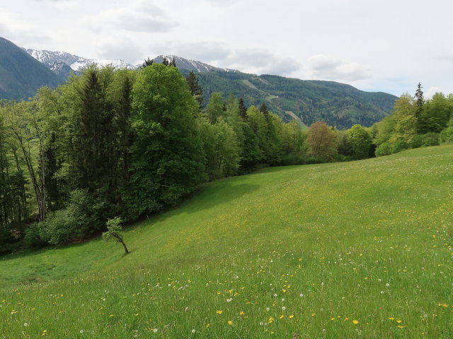 zwischen Poppenberg und Lugis