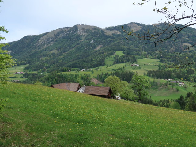 Grünebner