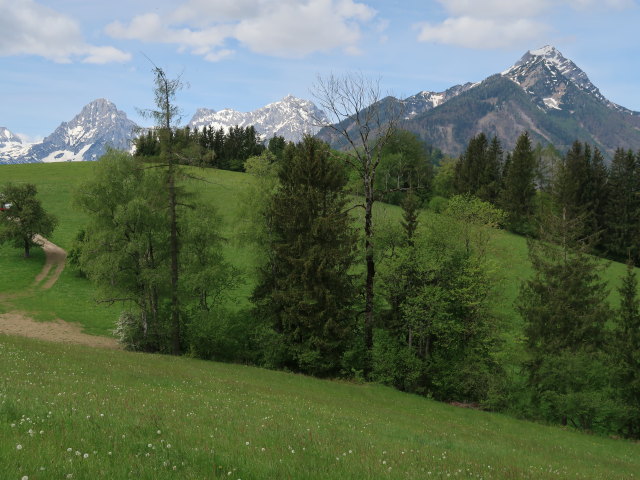 Jörg in Mitterkrotzen