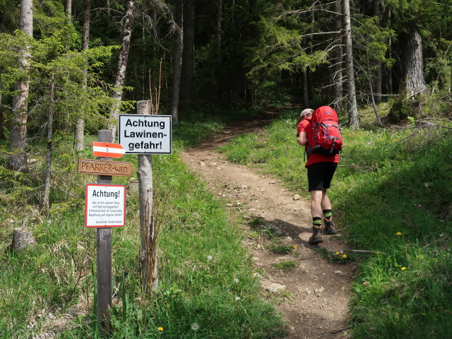 Jörg am Pfarrerweg zwischen Wurzer und Spitzmäuerl