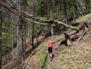 Jörg am Pfarrerweg zwischen Spitzmäuerl und Rieseralm