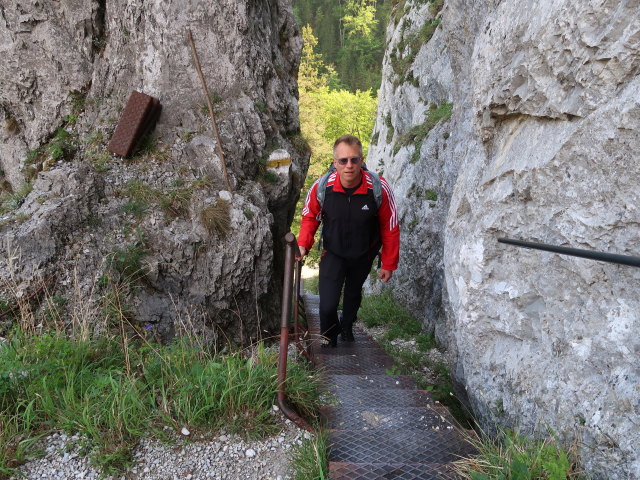 Mario auf der Schönbrunner Stiege