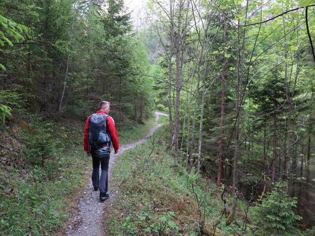 Mario im Großen Höllental