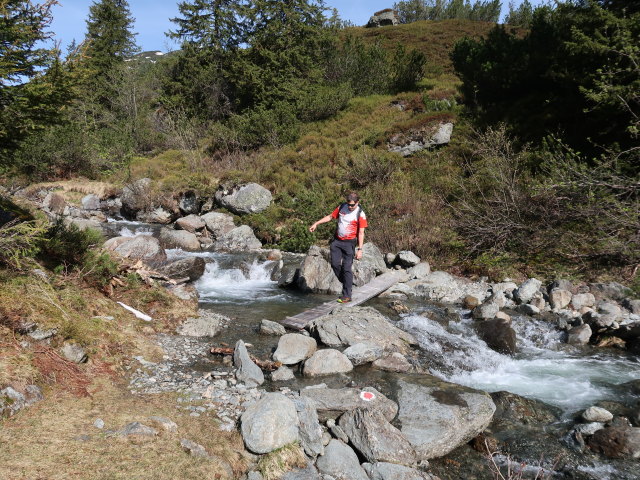 Ronald bei der Wildschönauer Ache zwischen Glockhausstein und Siedeljoch