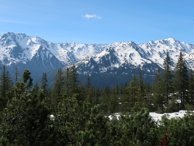 zwischen Siedeljoch und Hengstkogel