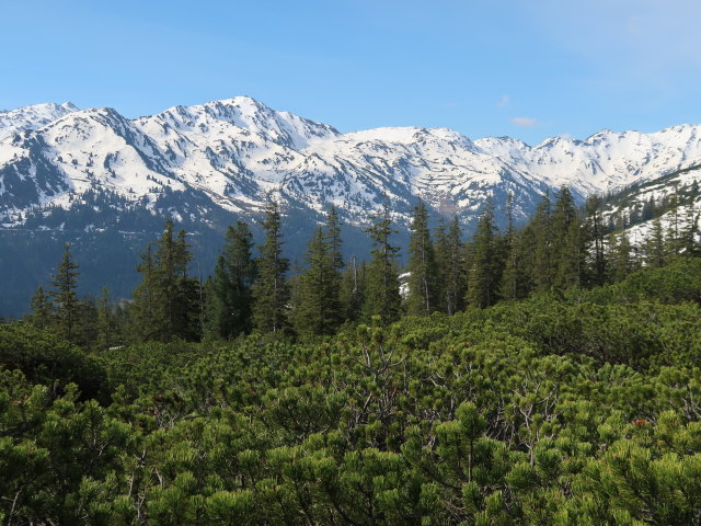 zwischen Siedeljoch und Hengstkogel