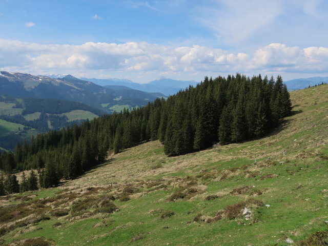 zwischen Hinterer Feldalm und Breiteggalm