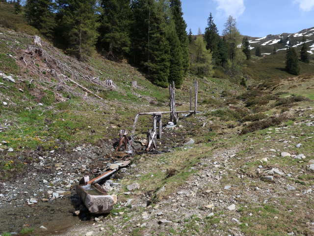 zwischen Hinterer Feldalm und Breiteggalm