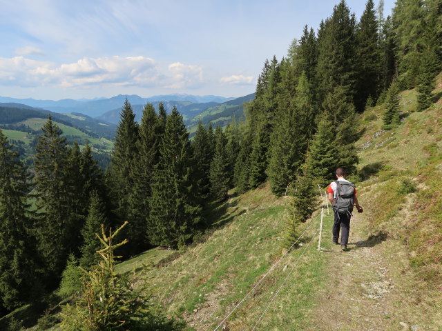 Ronald zwischen Breiteggalm und Schönangeralm