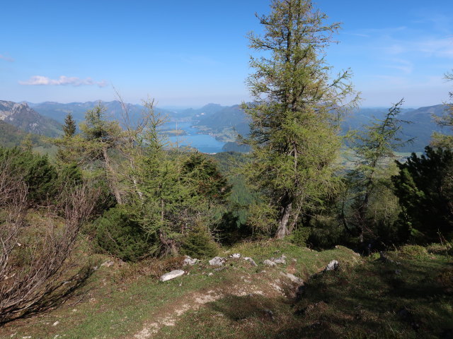 zwischen Feichterstüberl und Ahornfeld