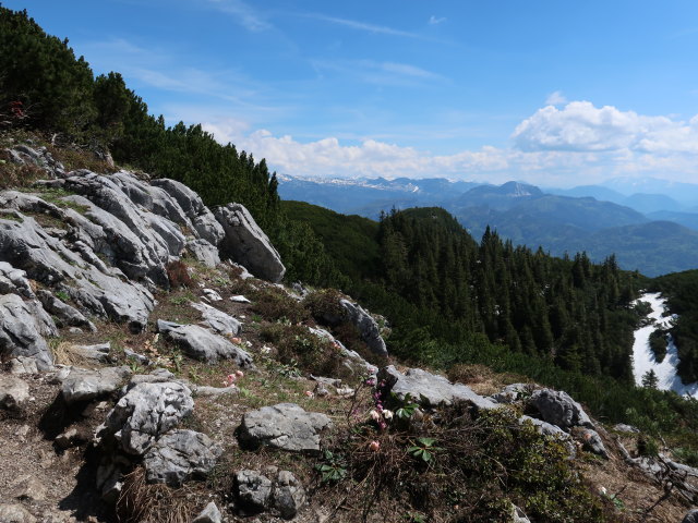 zwischen Hainzen und Elferkogel