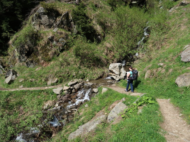 Nils und Sabine am Meraner Höhenweg zwischen Giggelberg und Hochforch (19. Mai)