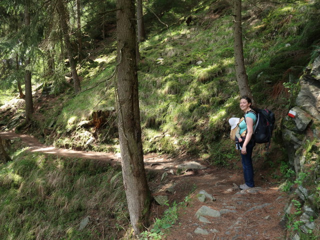 Nils und Sabine am Meraner Höhenweg zwischen Giggelberg und Hochforch (19. Mai)