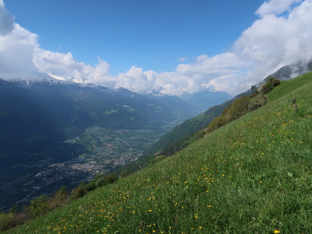 Vinschgau vom Meraner Höhenweg aus (19. Mai)