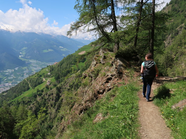 Sabine am Meraner Höhenweg zwischen Pardellbach und Lahnbach (19. Mai)