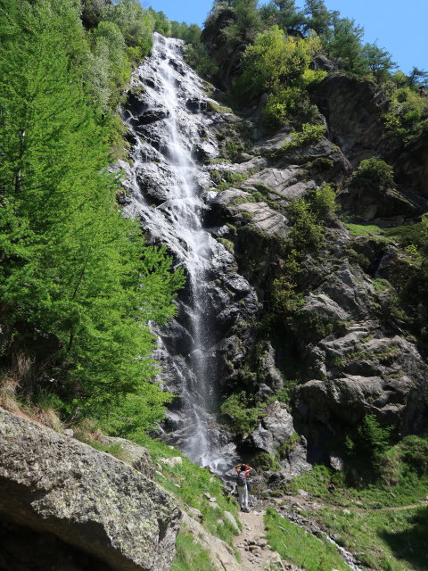 Meraner Höhenweg zwischen Pardellbach und Lahnbach (19. Mai)