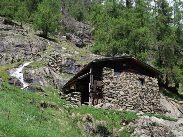 neben dem Meraner Höhenweg zwischen Lahnbach und Pirchhof (19. Mai)