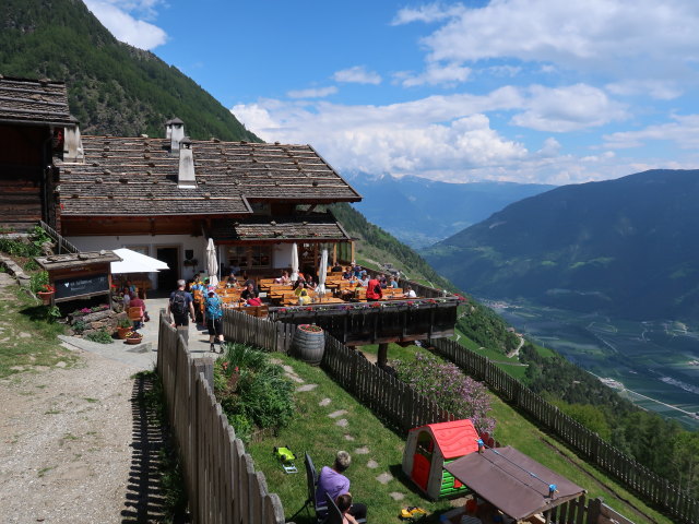 Hofschank Pirchhof, 1.445 m (19. Mai)