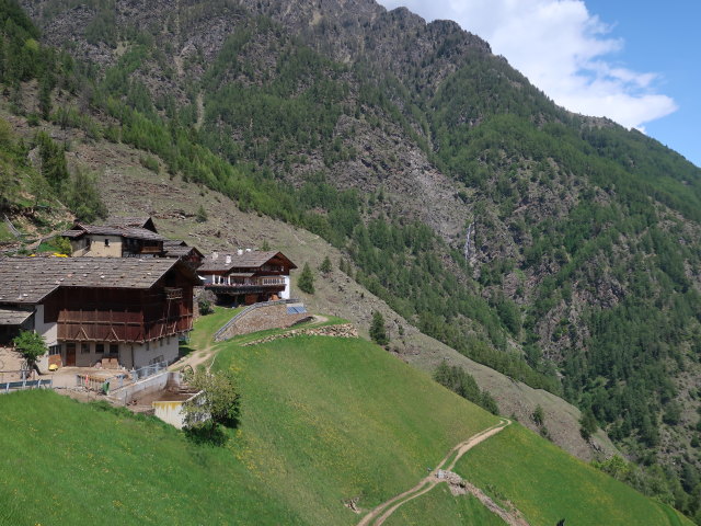 Pirchhof, 1.445 m (19. Mai)