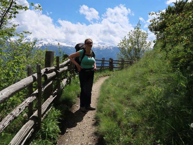 Sabine am Meraner Höhenweg zwischen Pirchhof und Kirchbach (19. Mai)