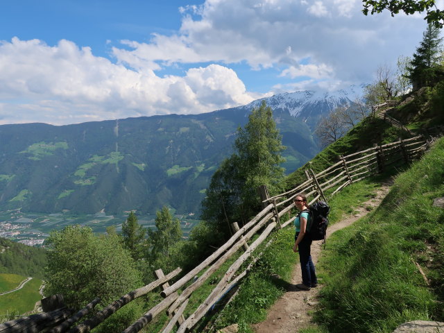 Sabine am Meraner Höhenweg zwischen Galmein und Innerforch (19. Mai)