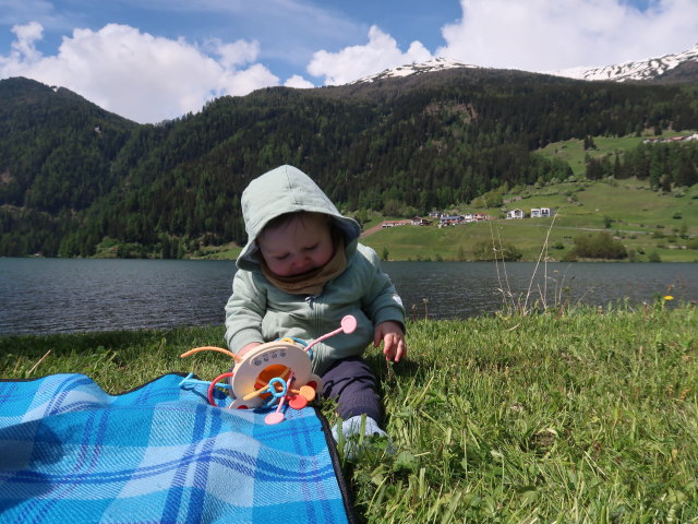 Nils beim Haidersee, 1.450 m (20. Mai)