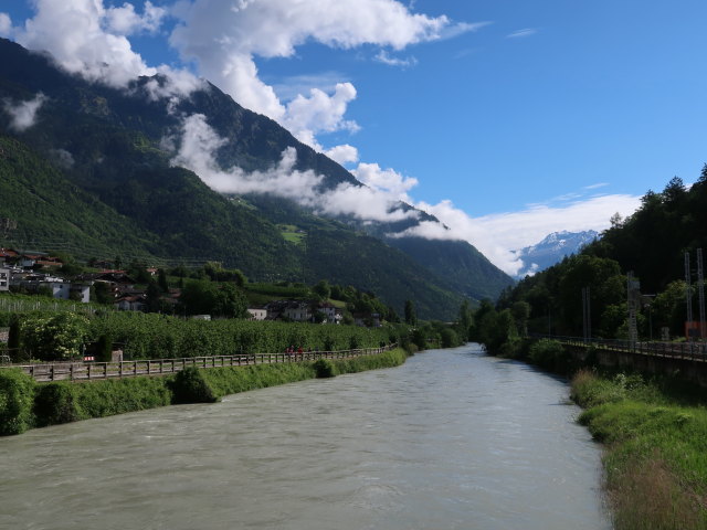 Etsch in Töll (22. Mai)