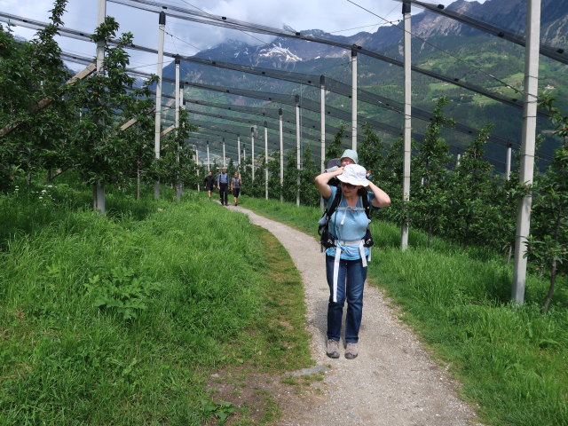 Nils und Sabine am Marlinger Waalweg zwischen Töll und Gasthaus Schönblick (22. Mai)