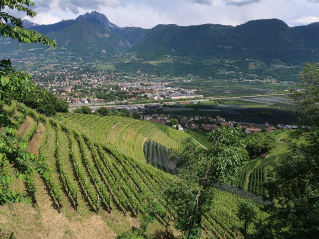 beim Marlinger Waalweg zwischen Gasthaus Waalheim und Lebenbergerbach (22. Mai)