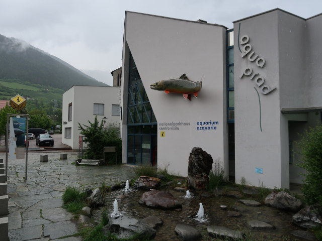 Nationalparkhaus aquaprad in Prad am Stilfserjoch, 915 m (23. Mai)