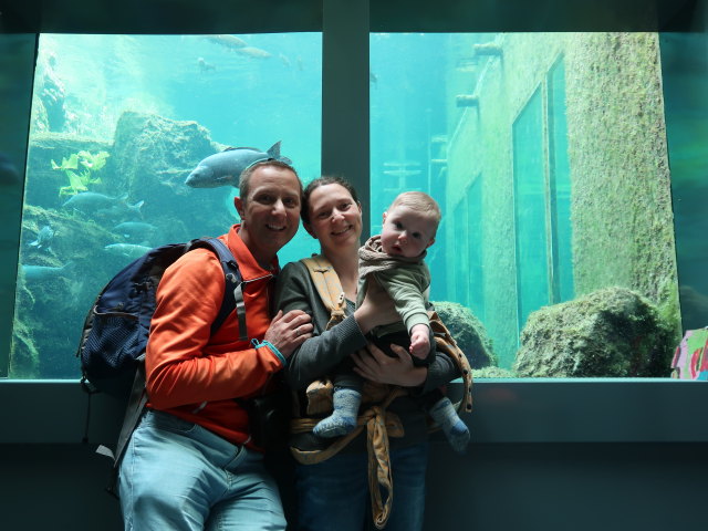 Ich, Sabine und Nils im Nationalparkhaus aquaprad in Prad am Stilfserjoch, 915 m (23. Mai)